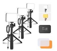 NEEWER BASICS Luce Video a Pannello LED da Scrivania (3pz), Kit Lampada per Videoconferenza con Treppiedi Tavolo/Filtri per Webcam Computer Laptop Zoom Call Trucco Registrazione Selfie Streaming, BP66