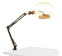 NEEWER ENTRY LEVEL VERSION 10.5" Ring Light da Tavolo Overhead con Supporto/Telecomando/Porta Telefono Compatibile con iPhone, Luce LED 10W CRI85+ per Stream Riprese Selfie Laptop Videoconferenza, N31