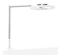 NEEWER ENTRY LEVEL VERSION 10" 7W LED Selfie Ring Light con Supporto da Tavolo e Porta Telefono per iPhone, Laptop Videoconferenza Streaming Registrazione Trucco, 3 Toni, Ricaricabile da 3000mAh, N16