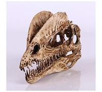 NEFSO Dinosaur Skull Replica Dilophosaurus Fossil Scheletro Modello Resin Crafts Collection Ornament Home Bar Office Decoration Miglior Regalo per Natale Pasqua Halloween