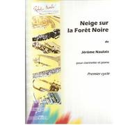 Neige Sur La Forêt Noire