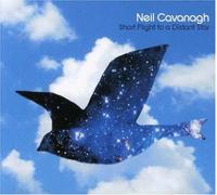 Neil Cavanagh - Short Flight to a...