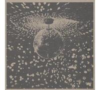 Neil Young Mirror Ball (CD) Album