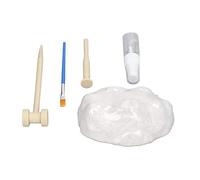 Neiyty Kit di Scavo Fossile per Bambini, Design a Forma di Colosseo | Esperienza pratica, materiali durevoli e non tossici, include martello e strumenti