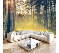 Nel Bosco Lungo Il Sentiero Carta Da Parati 200 x 140 cm 3D Foresta FotoMurale Non Tessuto Murale Adatta per la decorazione di pareti di camera da letto, soggiorno e ufficio W-433