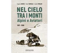 Nel cielo tra i monti. Alpini e aviatori (1917-1918)