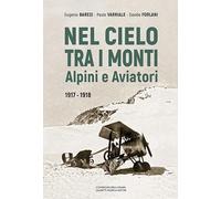 Nel cielo tra i monti. Alpini e aviatori (1917-1918)