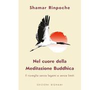 Nel cuore della meditazione buddhica. Il risveglio senza legami e senza limiti