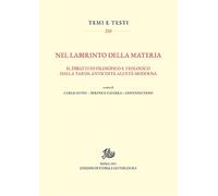 Nel labirinto della materia. Il dibattito filosofico e teologico dalla tarda antichità all'età moderna