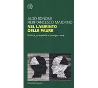 Nel labirinto delle paure. Politica, precarietà e immigrazione