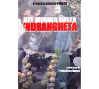 Nel mirino della 'ndrangheta