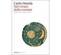 Nel vivaio delle comete. Figure di un'Europa a venire