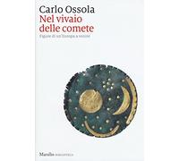 Nel vivaio delle comete. Figure di un'Europa a venire