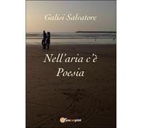 Nell’aria c’è poesia di Salvatore Galisi, 2016, Youcanprint