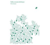 Nella corrente del bosco. Ediz. illustrata