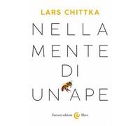 Nella mente di un'ape