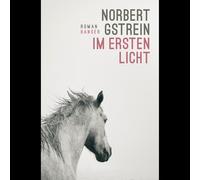 Nella prima luce: romanzo Norbert Gstrein