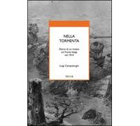 Nella tormenta. Diario di un inviato sul fronte belga nel 1914
