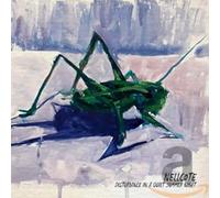 Nellcote - Disturbance In A Quiet Summer Night