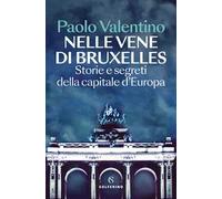 Nelle vene di Bruxelles. Storie e segreti della capitale d'Europa
