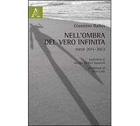 Nell'ombra del vero infinta. Poesie (2011-2013)