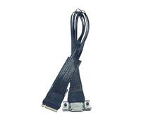 Nelsonerty Per Cavo Estensione M.2 a Oculink 4i Desktop M2 Mkey NVME a SFF8611 Cavo Adattatore PCIe 4.0 X4 Gen4 Placcato Argento 15 cm