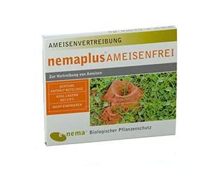 nemaplus® SF Nematodi per combattere le formiche