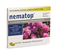 Nematop -