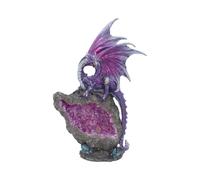 Nemesis Now - Statuetta in ametista custode, 22 cm, colore: Viola