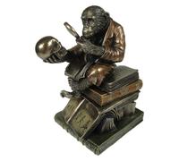 Nemesis Now Darwinism of Evolutionary Theory Box 17,5 cm Bronzo, Resina