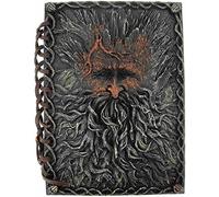 Nemesis Now - Diario per Barba, 22 cm, in Resina e Carta, Taglia Unica