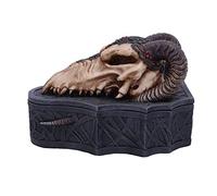 Nemesis Now Dragon Skull Box (Monte Moore) Nero, 17,7 cm, 17.7cm