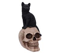 Nemesis Now Familiar Fate-Statuetta di Gatto e Teschio delle Streghe, 24,3 cm, Colore: Nero, Resina, 24.3cm
