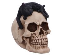 Nemesis Now Forever Friend - Gatto su teschio, 14,5 cm, resina, nero/osso, ornamento a forma di gatto sdraiato su un teschio, decorazione gotica in resina, sapientemente dipinto a mano