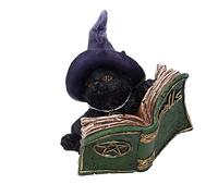 Nemesis Now Grimoire di gattino (verde) 8,2 cm