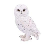 Nemesis Now Gufo di neve bianco come figura decorativa 13,3