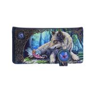 Nemesis Now Lisa Parker Fairy Stories Embossed Purse 18.5cm, PU, Multi Coloured,