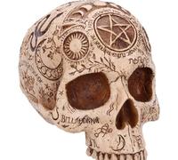 Nemesis Now Ltd Statuetta decorativa a forma di teschio da farmacista, gotico occulto