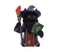 Nemesis Now Magnus - Statuetta di gatto mago con libro degli incantesimi, torcia e abbigliamento da mago, decorazione fantasy in resina dipinta a mano