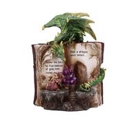 Nemesis Now Hoard Finders Dragon with Book Crystal Figurine Drago con Libro in Cristallo, Resina, Verde, 20.8cm
