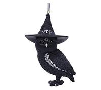Nemesis Now Cult Cuties Owlocen - Ornamento da appendere, 12 cm, colore: Nero
