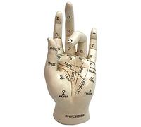 Nemesis Now Palmistry Chriomancy Fortune Telling Hand Figurina, Poliresina, Bianco, 17,7 cm