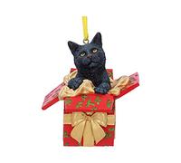 Nemesis Now Present Cat Non Specificato Palline di natale standard Plastica