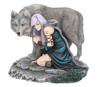 Nemesis Now Protector - Statuetta Anne Stokes, edizione limitata, 25 cm, colore: Grigio