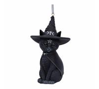 Nemesis Now Purrah Gatto Gattino Strega Occulto Pentagramma da Parete Ornamento