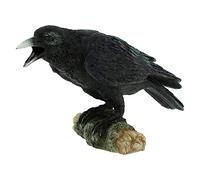 Nemesis Now Raven's Call 20 cm, nero