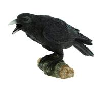 Nemesis Now Raven's Call 20 cm, nero