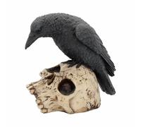 Nemesis Now Ravens Remains Teschio Umano Gotico Ornamento Da Scrivania NEM2834