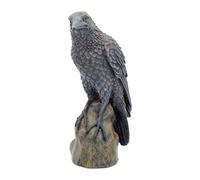 Nemesis Now Ravens Rest, statuetta, 20 cm, colore: Nero