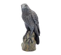 Nemesis Now Ravens Rest, statuetta, 20 cm, colore: Nero